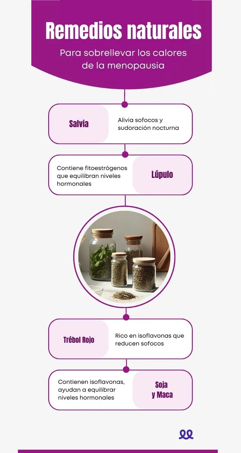 DURCAL Infografias 13
