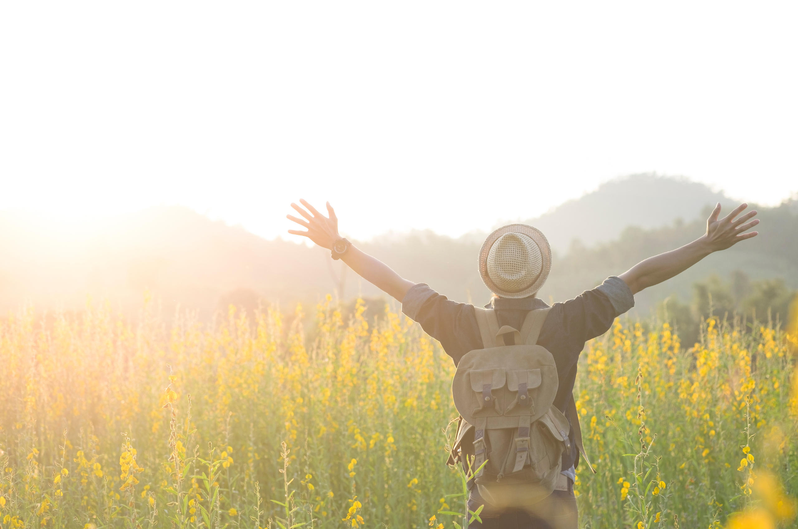 Durcal Blog - Ikigai, el secreto para una vida longeva y feliz que viene de Japón