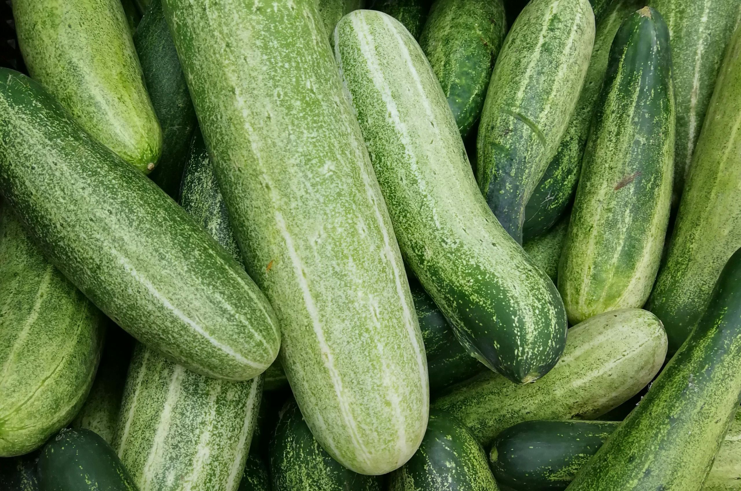 remedios caseros para quemaduras del sol